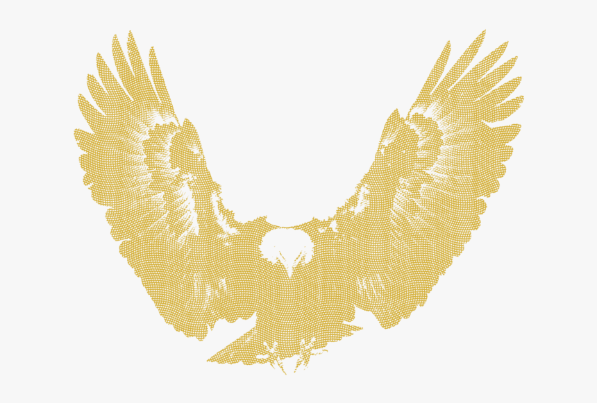 Eagle-gold, HD Png Download, Free Download