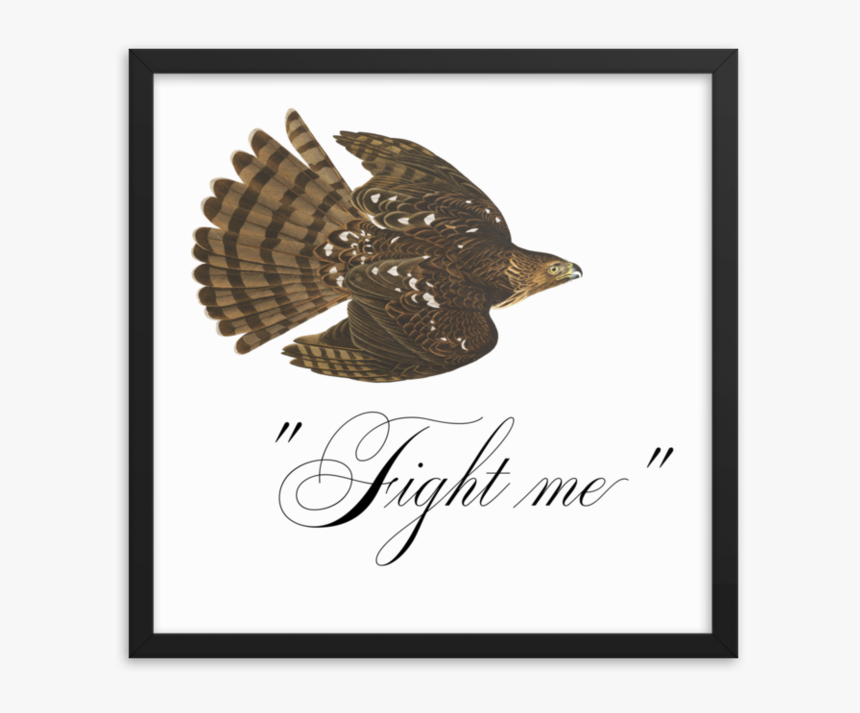 Fight Me Framed"
 Srcset="data - Ruffed Grouse, HD Png Download, Free Download