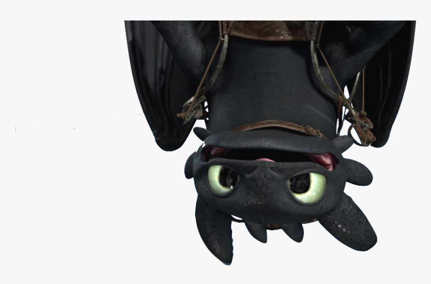"how To Train Your Dragon - Train Your Dragon Toothless Png, Transparent Png, Free Download