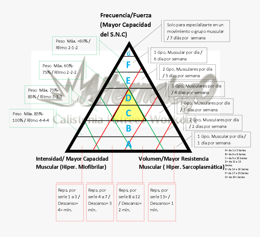 Diagram, HD Png Download, Free Download