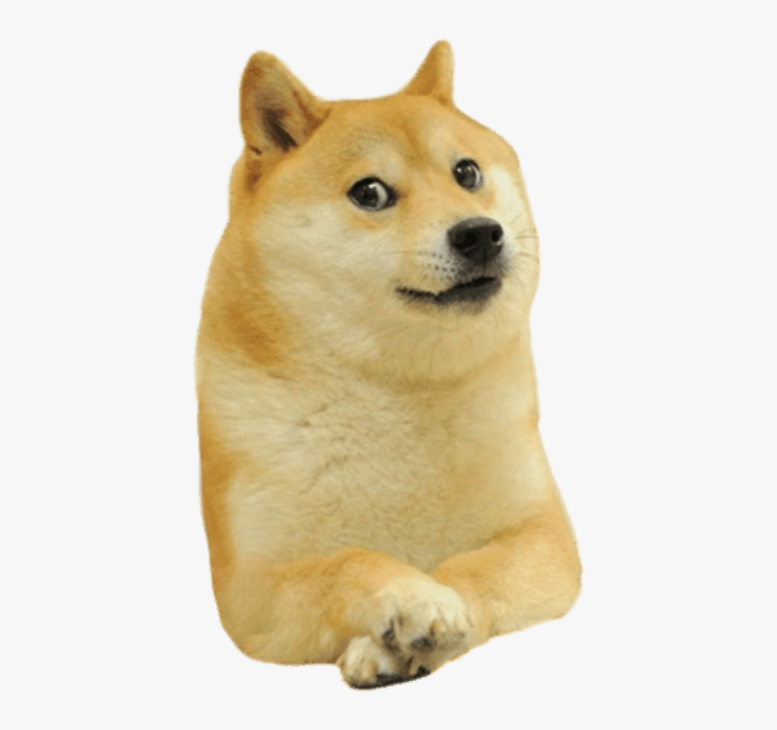 Lil Doge Png, Transparent Png, Free Download