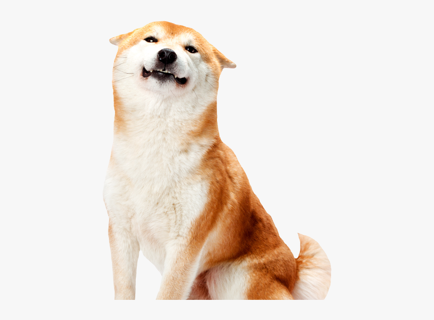 Dayshift At Freddy’s - Shiba White Background, HD Png Download, Free Download