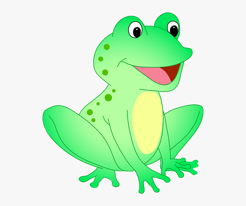 True Frog, HD Png Download, Free Download