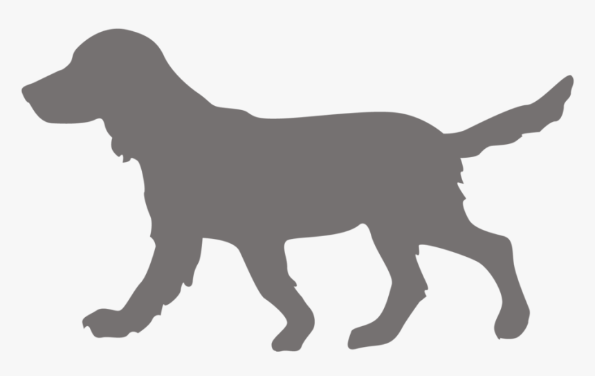 Doggo Png, Transparent Png, Free Download