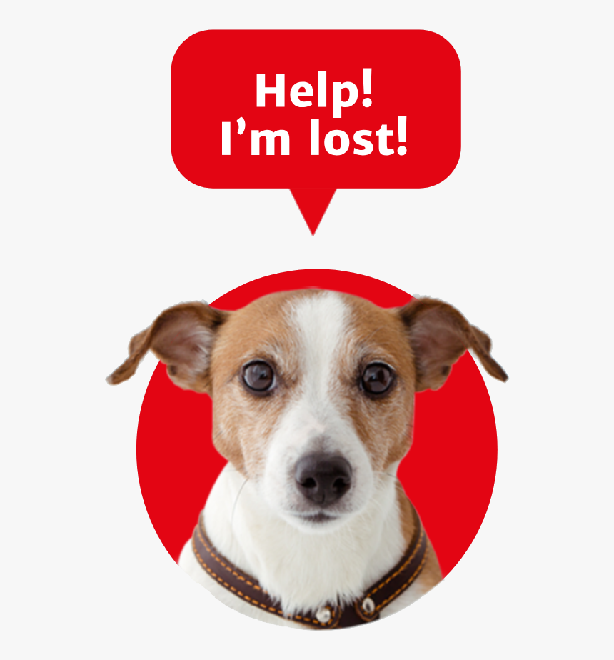 Pet2net Help, I"m Lost Dog - 狗 狗, HD Png Download, Free Download