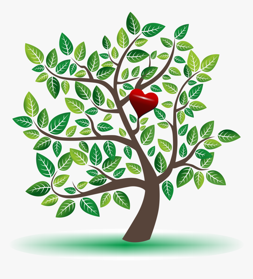 Arbol Png , Png Download - Tree With Leaf Vector, Transparent Png, Free Download