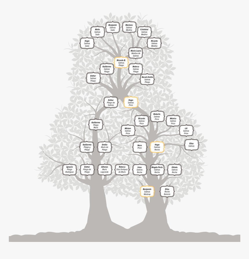 Árbol Genealógico Familia Salina - Arbol Genealogico Familia Rocha, HD Png Download, Free Download