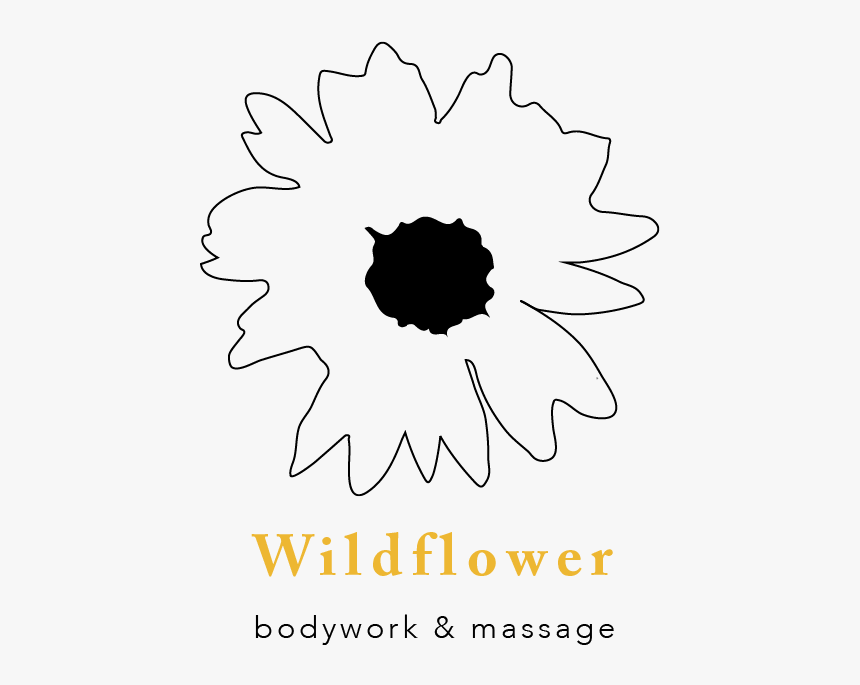 Wildflower Png {web}, Transparent Png, Free Download
