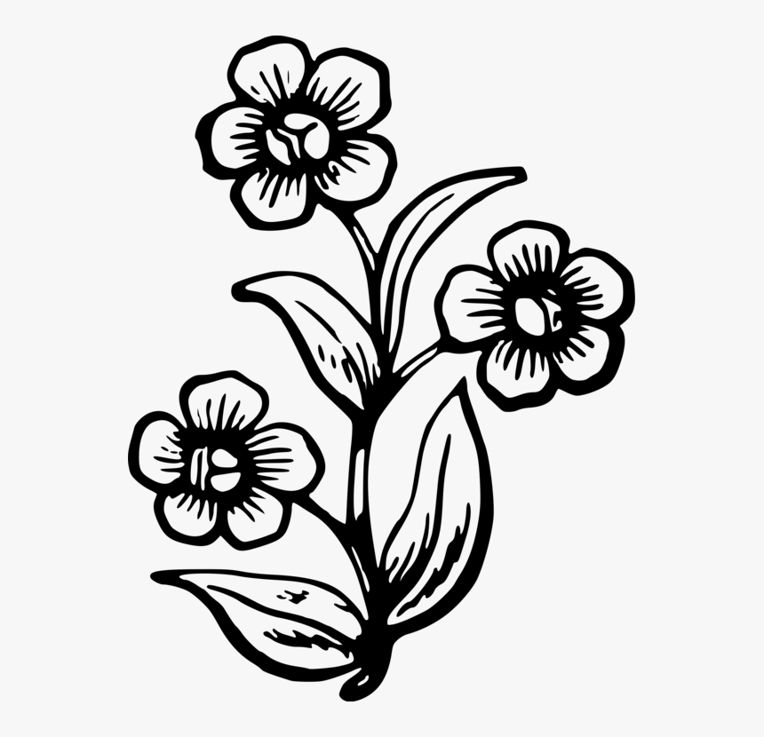 Art,monochrome Photography,petal - Stencil Drawing Of Flowers, HD Png Download, Free Download