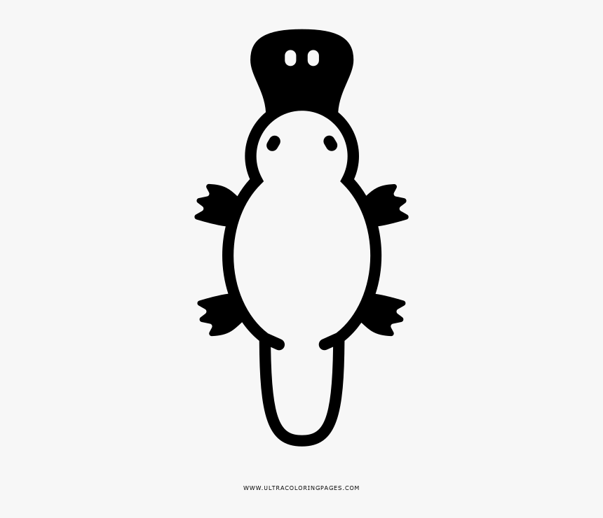 Platypus Coloring Page - Cartoon, HD Png Download, Free Download