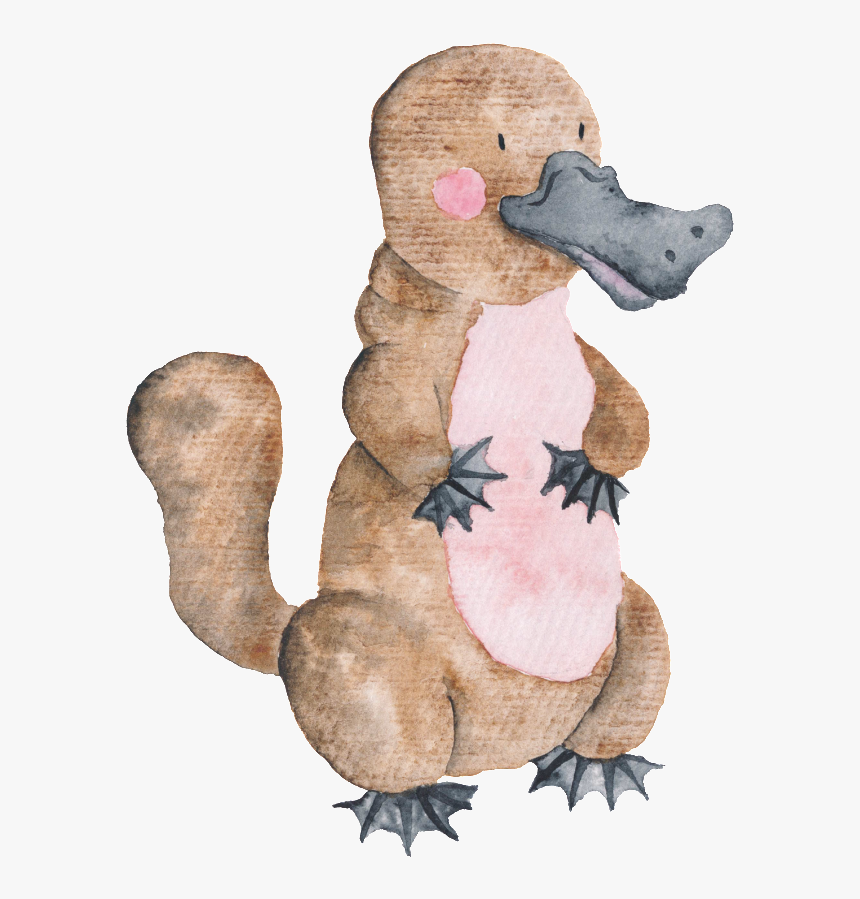 This Graphics Is Hand Drawn Platypus Transparent Animal - Australian Platypus Clipart, HD Png Download, Free Download