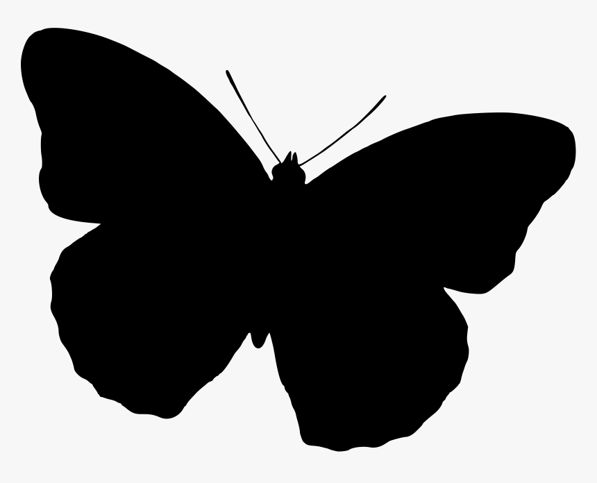 Butterfly Silhouette Clip Art - Butterfly Silhouette Black White, HD Png Download, Free Download
