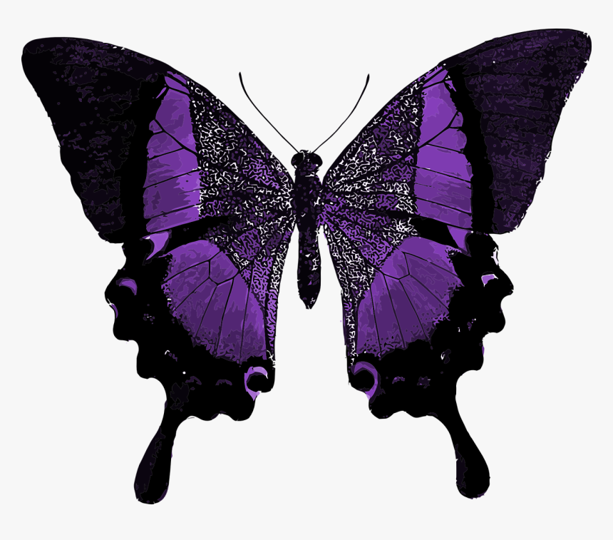 Fancy Butterfly, HD Png Download, Free Download