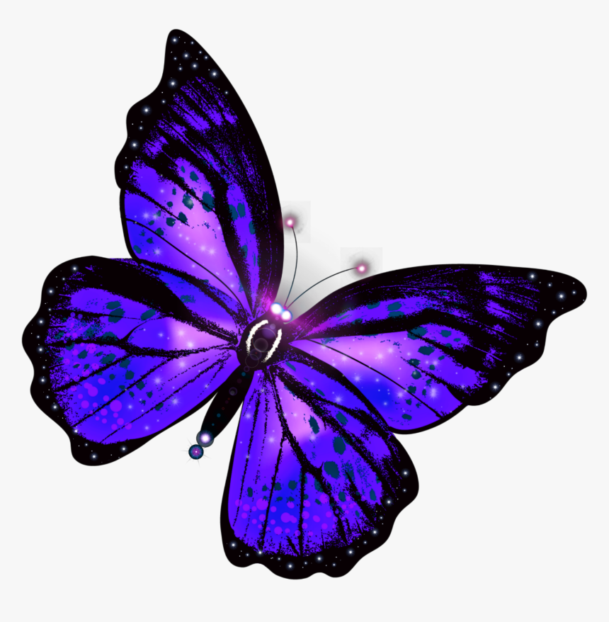 Featured image of post Glowing Butterfly Png Three butterflies butterfly butterfly butterfly group insects png