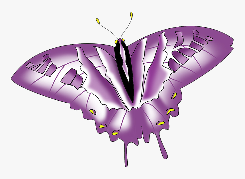 Colorful Purple Swallowtail Clipart - Papilio, HD Png Download, Free Download