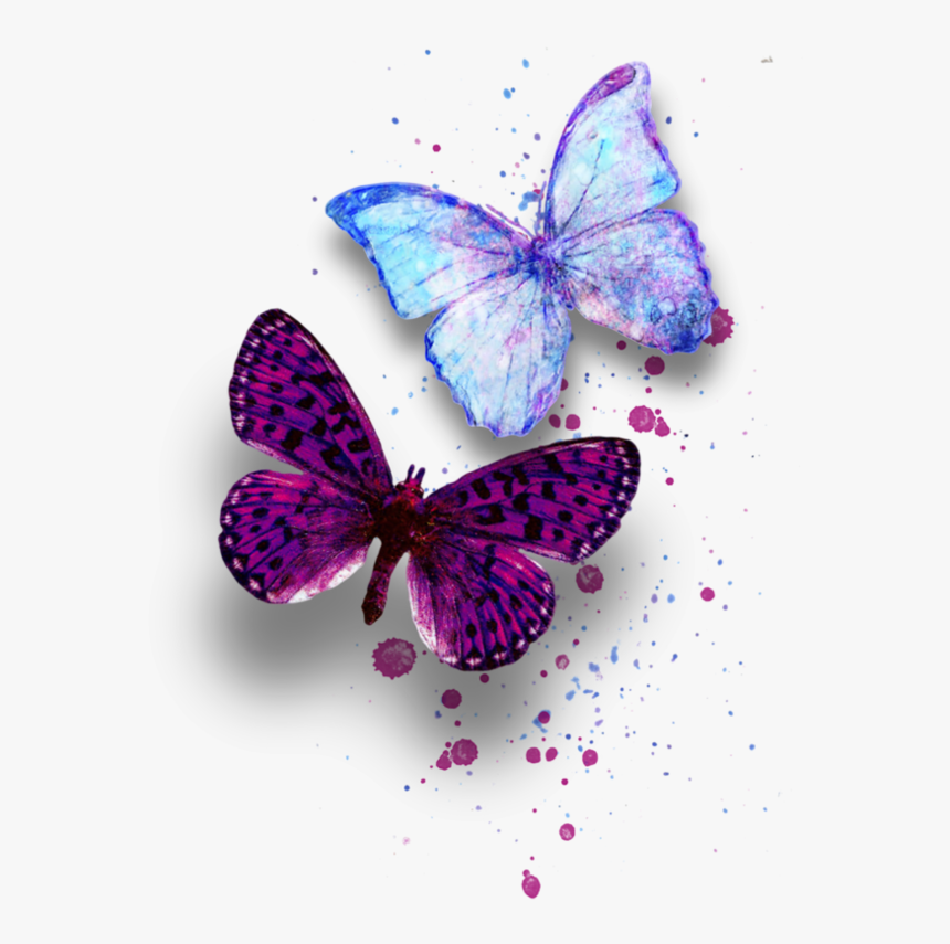 Image Du Blog Zezete2 - Butterfly Mariposa Png, Transparent Png, Free Download