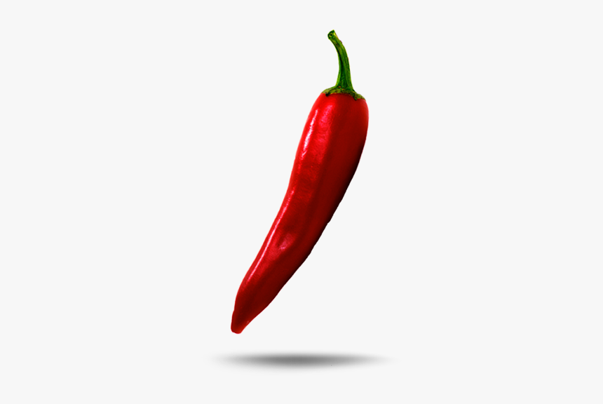 Bird's Eye Chili, HD Png Download, Free Download