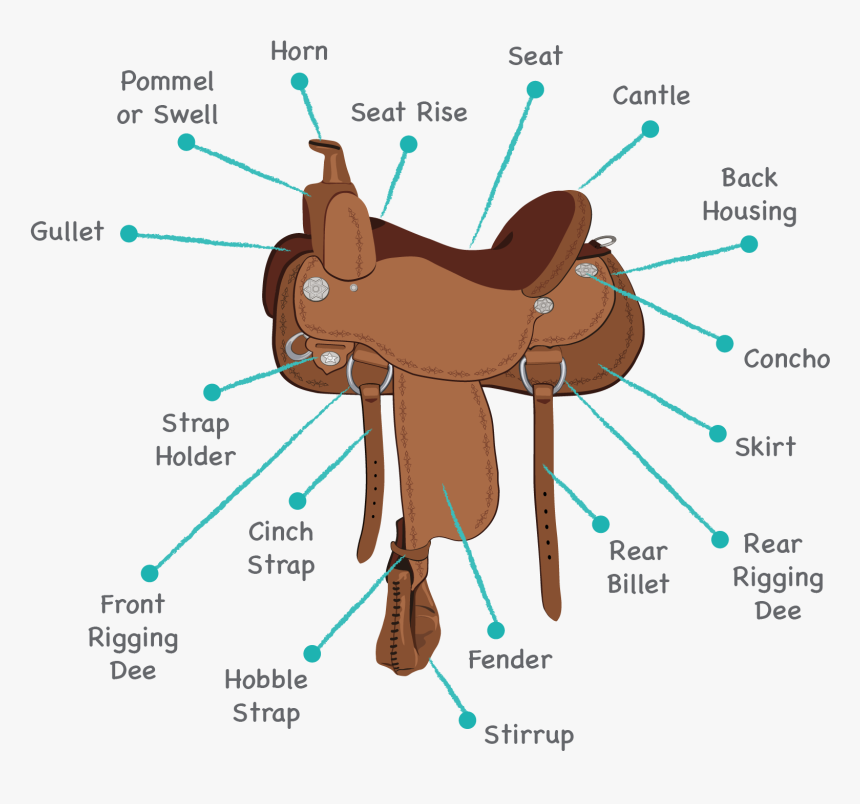 Cartoon, HD Png Download, Free Download