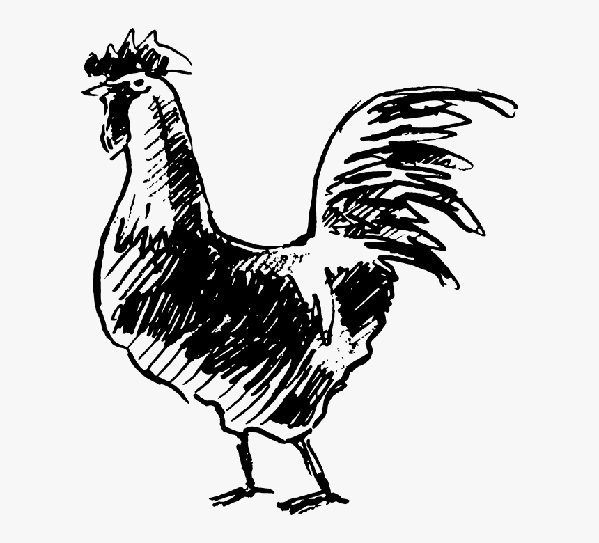 Rooster, HD Png Download, Free Download