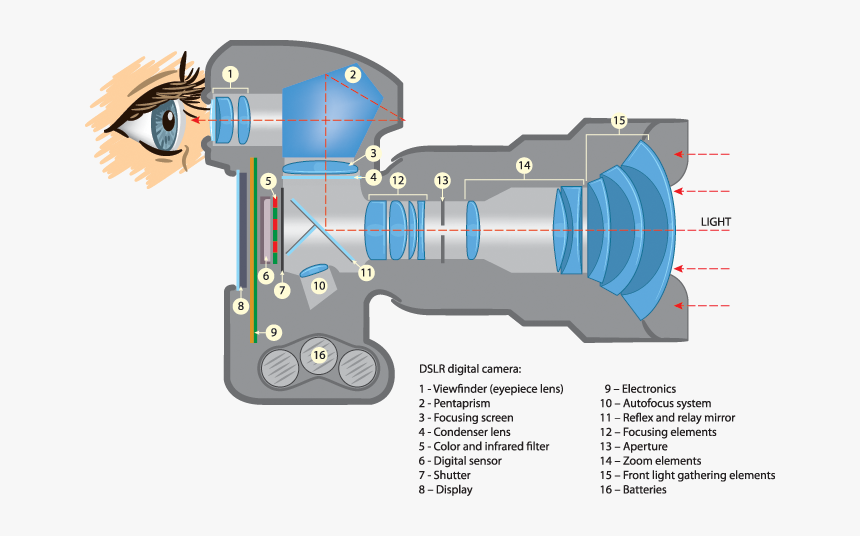 Dslr Camera Parts - Working Principle Of Camera, HD Png Download, Free Download