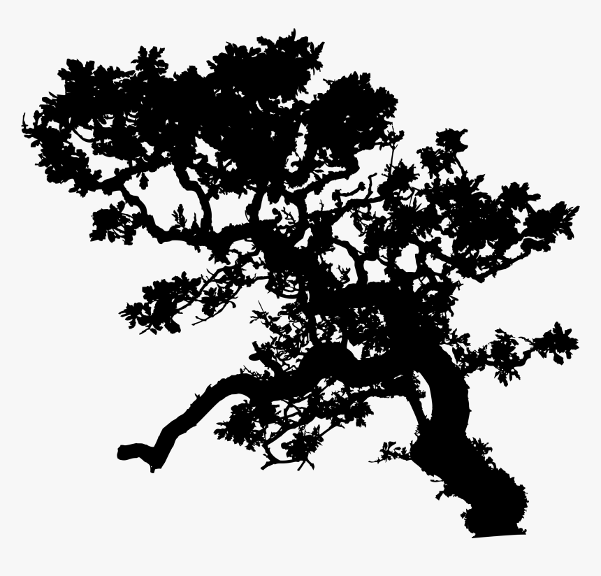 Clipart Tree Silhouette Graphic Black And White Stock, HD Png Download, Free Download