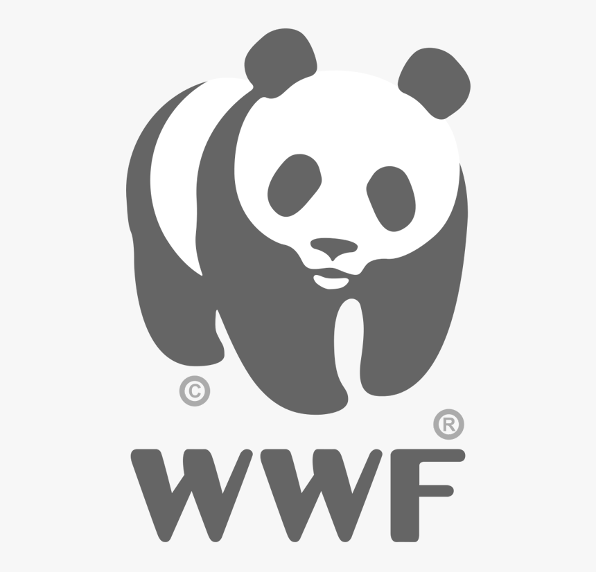 World Wildlife Fund, Inc - Wwf Logo White Transparent, HD Png Download, Free Download