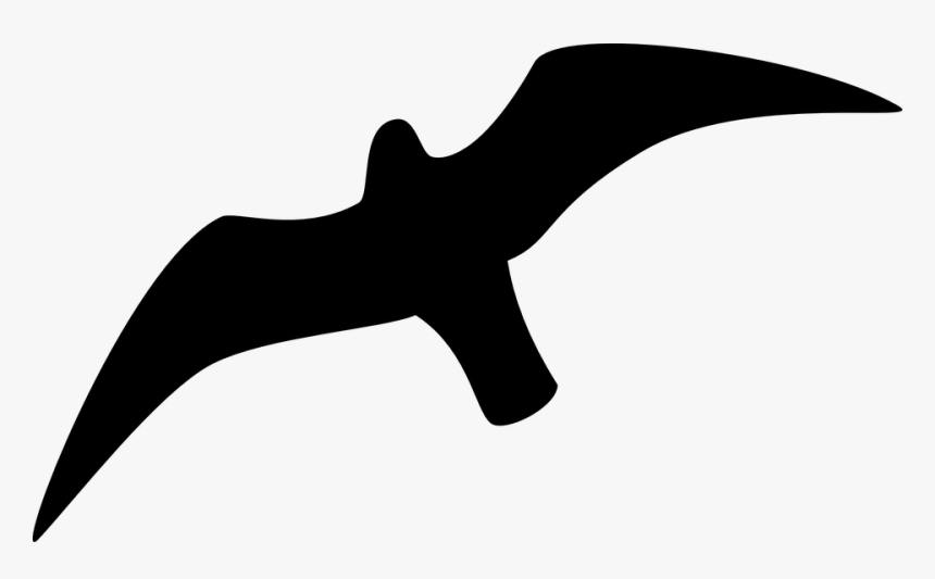 Seagull Silhouette Svg, HD Png Download, Free Download