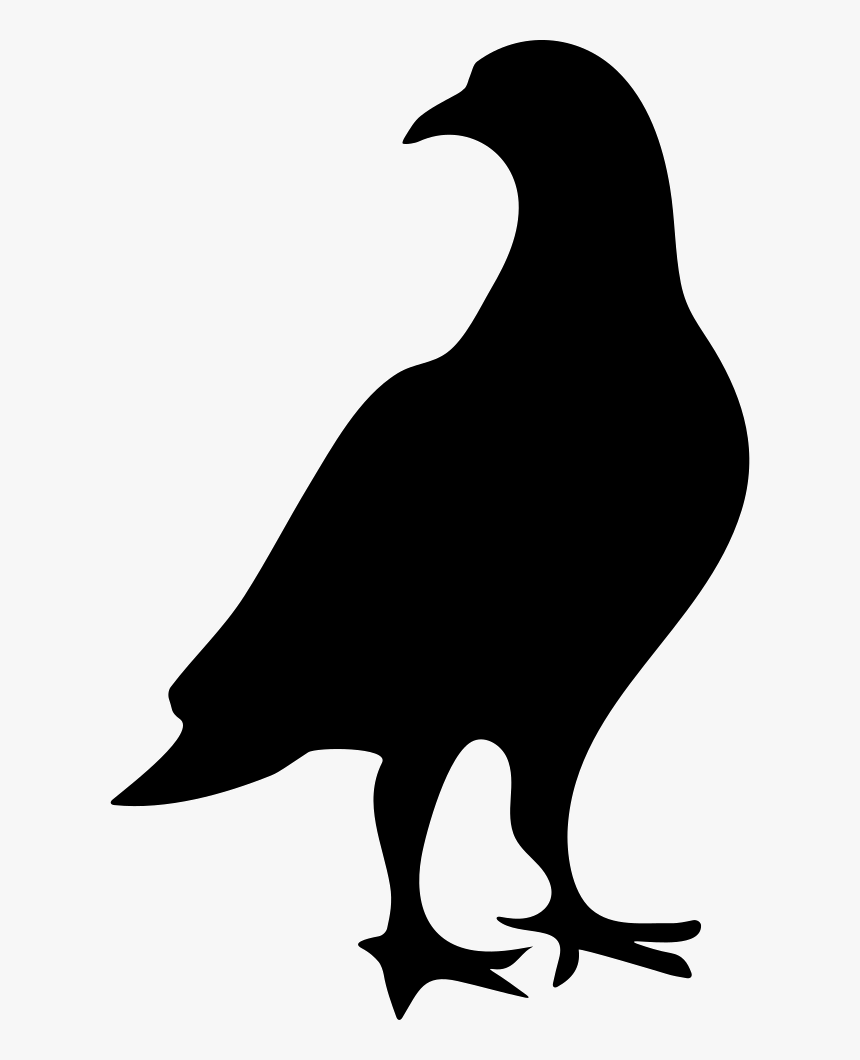 Pigeon Bird Shape, HD Png Download, Free Download