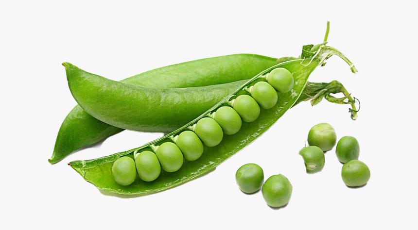 Green Beans Transparent - Pea Peptide, HD Png Download, Free Download