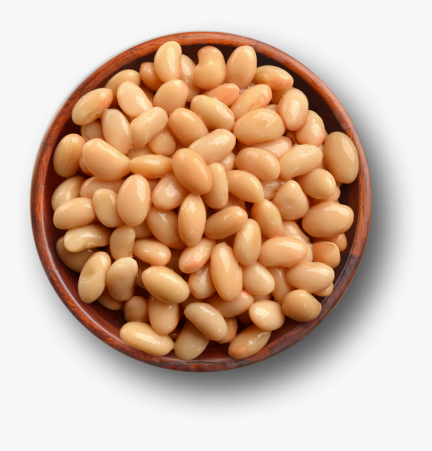 Great Northern Bean, HD Png Download, Free Download