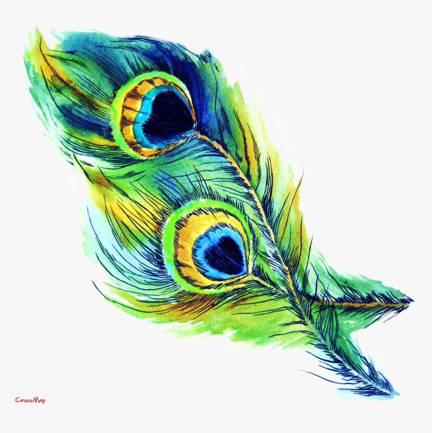 T-shirt Feather Peafowl Drawing Clip Art - Drawing Art Peacock Feathers, HD Png Download, Free Download