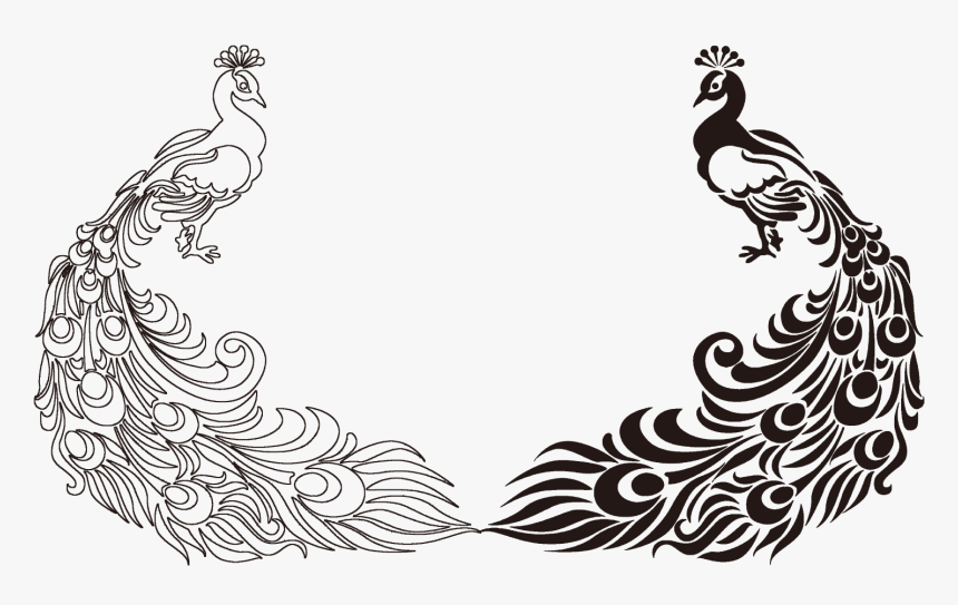 Peafowl Feather Bird Drawing Clip Art - Peacock Clipart Png Black And White, Transparent Png, Free Download