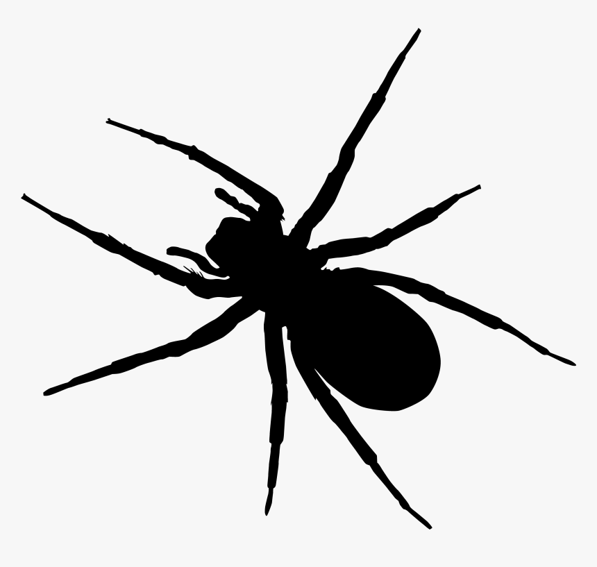 Spider-man Clip Art - Black Spiders Png, Transparent Png, Free Download