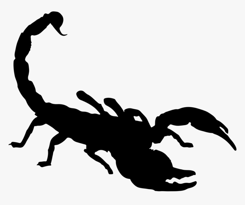 Scorpion Clipart, HD Png Download, Free Download
