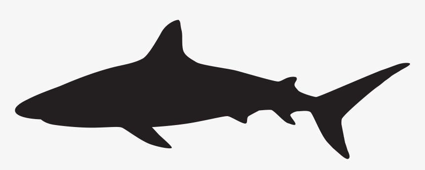 Shark Silhouette Png Clip Art Image - Great White Shark Silhouette, Transparent Png, Free Download