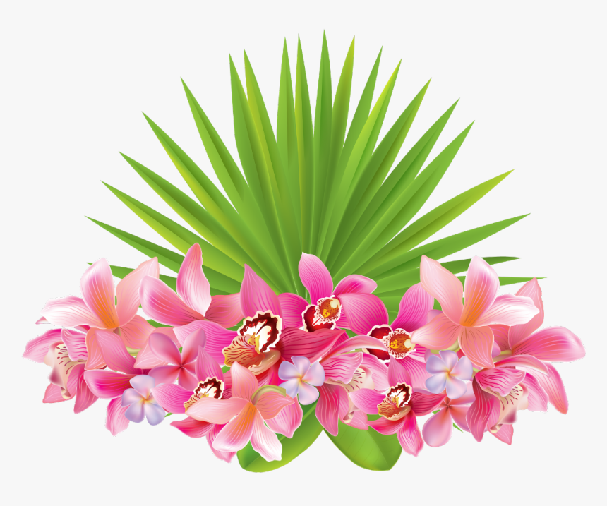 #flowers #tropical #plant #leaves #caribbean #summer - Tropical Flowers Transparent Background, HD Png Download, Free Download