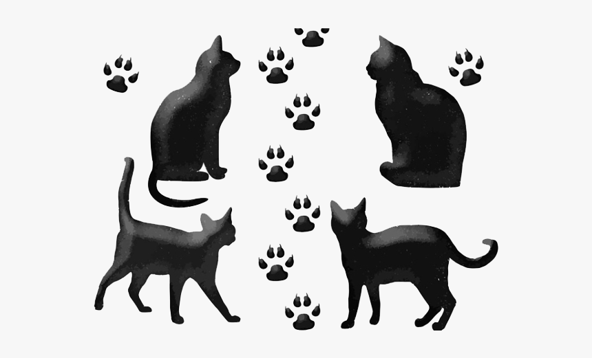 Black Cat Euclidean Vector Drawing - Imagen De Un Gato Negro En Caricatura, HD Png Download, Free Download