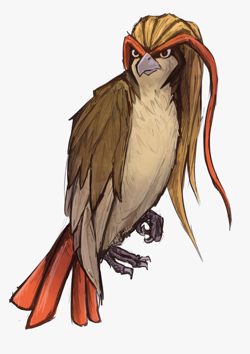 Cockatiel , Png Download - Cockatiel, Transparent Png, Free Download