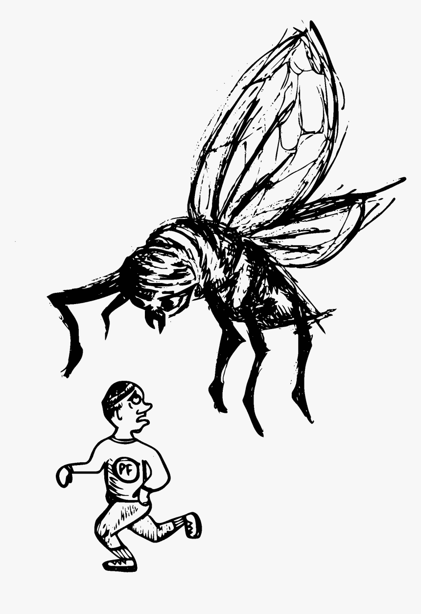Black Fly Spain, HD Png Download, Free Download