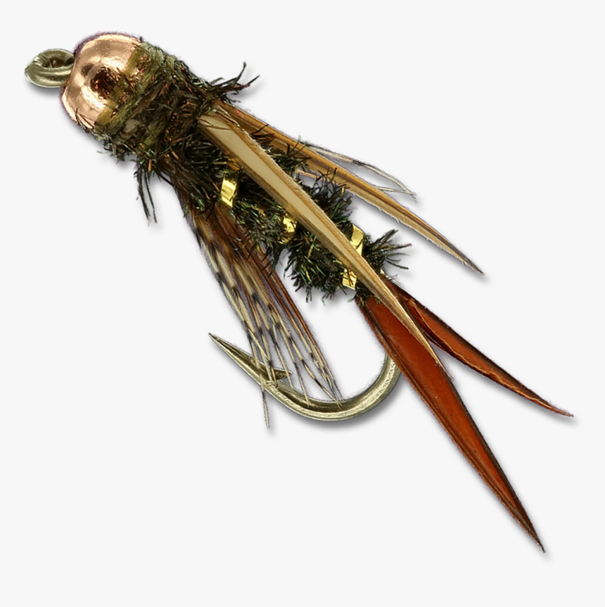 Fred Gordon"s Prince Nymph - Fly, HD Png Download, Free Download
