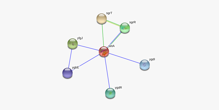 Seta Protein - Circle, HD Png Download, Free Download