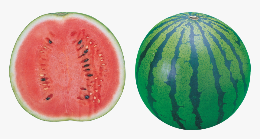 Watermelon - Watermelon Png No Background, Transparent Png, Free Download