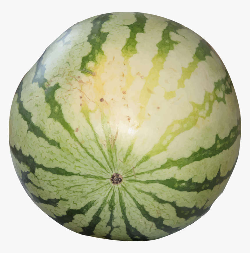 Watermelon Png Transparent Photo - Watermelon Ripe Or Not, Png Download, Free Download