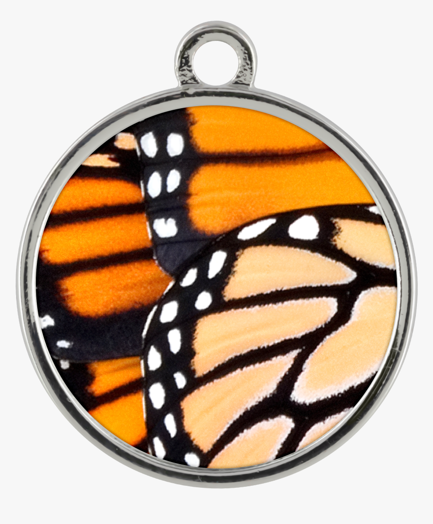 Monarch Butterfly Wings Piper Bracelet - Monarch Butterfly Transparent Background, HD Png Download, Free Download