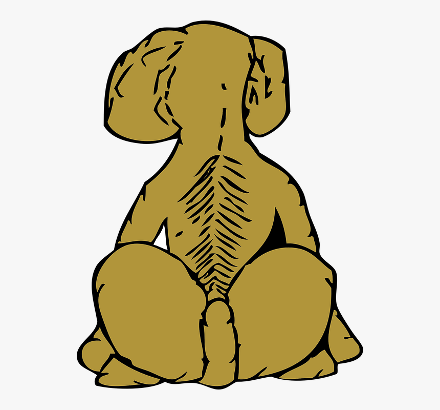 Back Of Dog Clipart, HD Png Download, Free Download