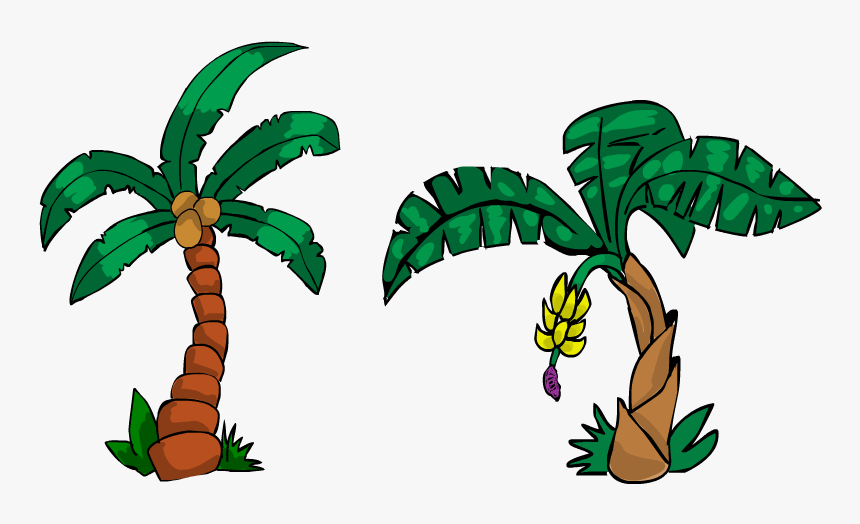 Palm Bannana Tree, HD Png Download, Free Download