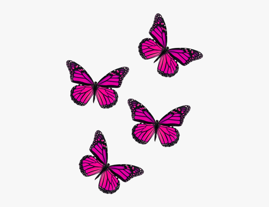 Flying Pink Butterflies Png, Transparent Png, Free Download