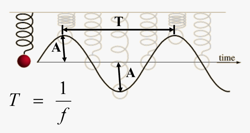 Wave And Simple Harmonic Motion, HD Png Download, Free Download