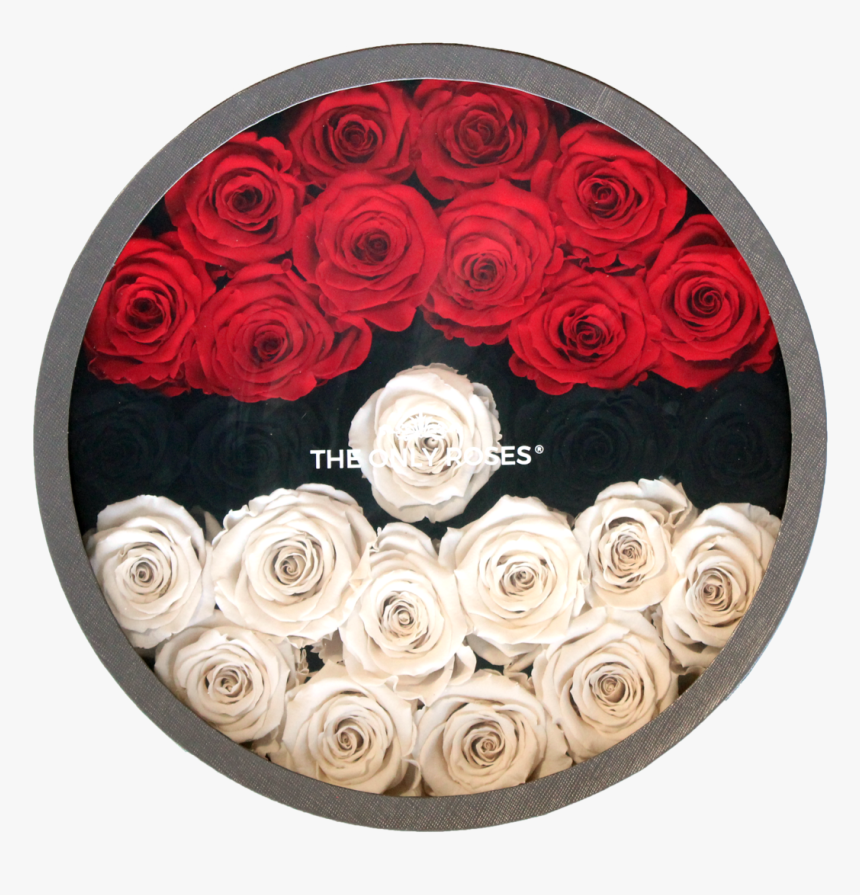 Pokeball.png, Transparent Png, Free Download