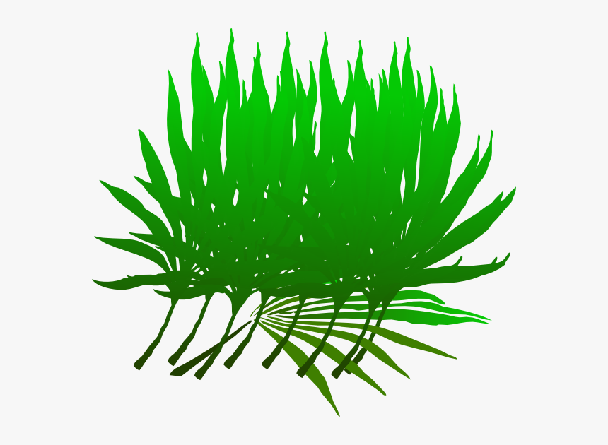 Sunday Branch Clip Art At Clker Com - Palm Frond Clip Art, HD Png Downloa.....